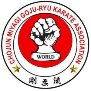 JETHO Master Dai Manoj S. Gautam in Karate stance